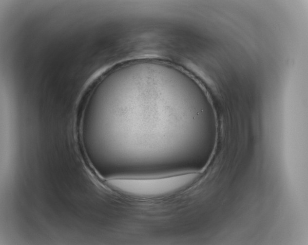 X0000113631452200909251211