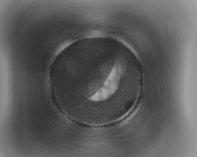 X0000113631453200909251211