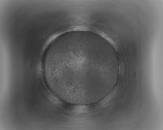 X0000113631454200909251211