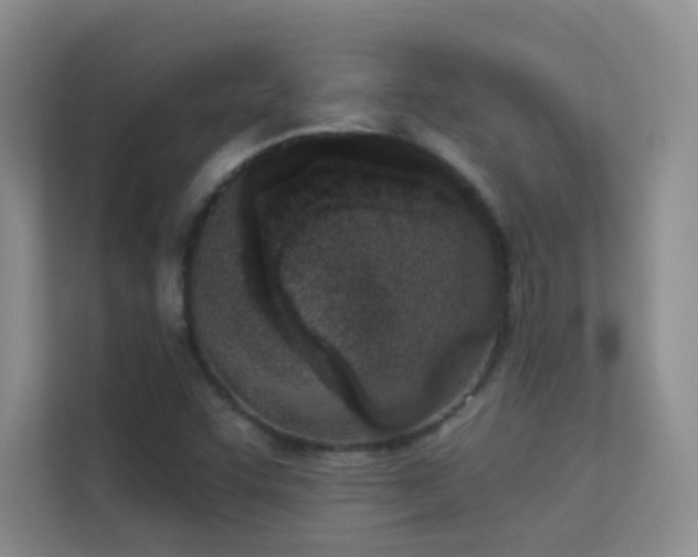 X0000113631455200909251211