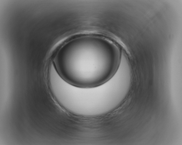 X0000113631456200909251211