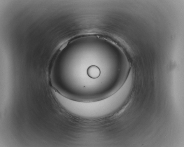 X0000113631457200909251211