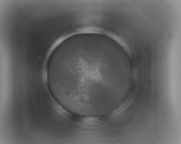 X0000113631462200909251211