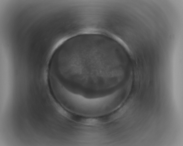 X0000113631463200909251211