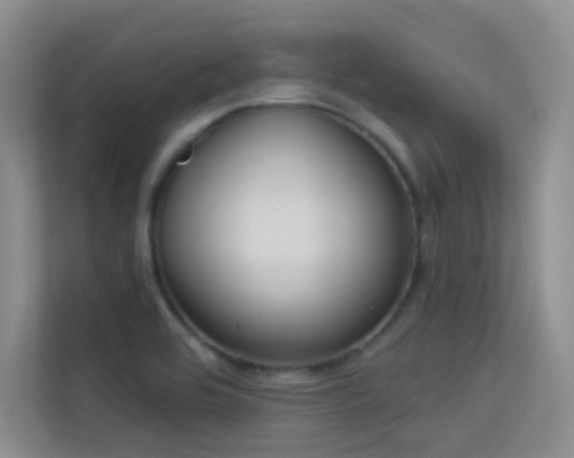X0000113631464200909251211