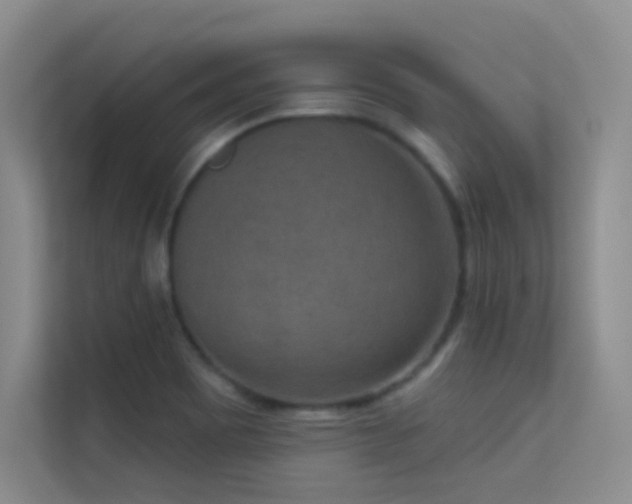 X0000113631465200909251211