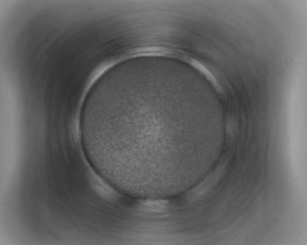 X0000113631466200909251210