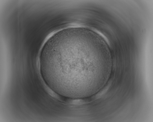 X0000113631467200909251210