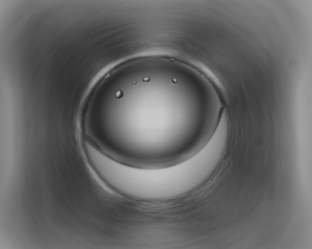 X0000113631468200909251210