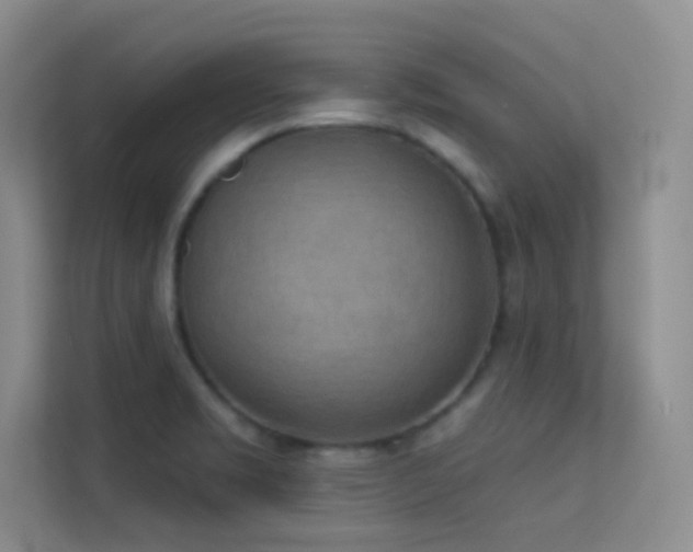 X0000113631469200909251210