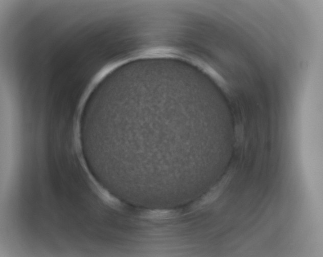 X0000113631470200909251210