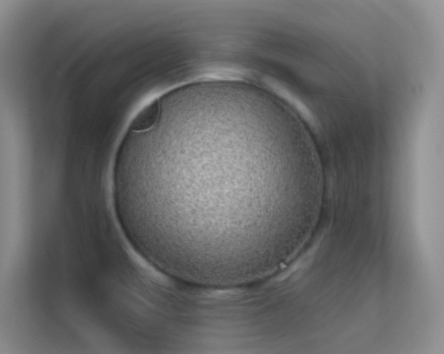 X0000113631471200909251210