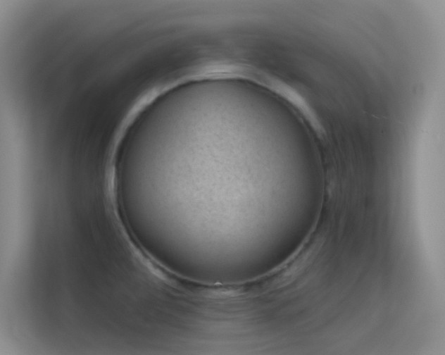 X0000113631472200909251210