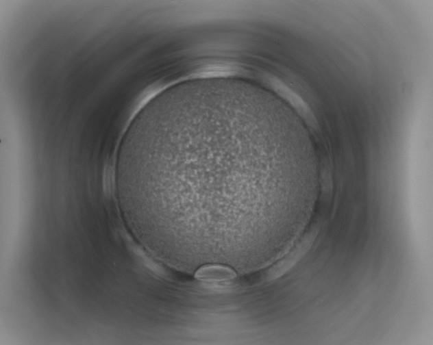 X0000113631473200909251210