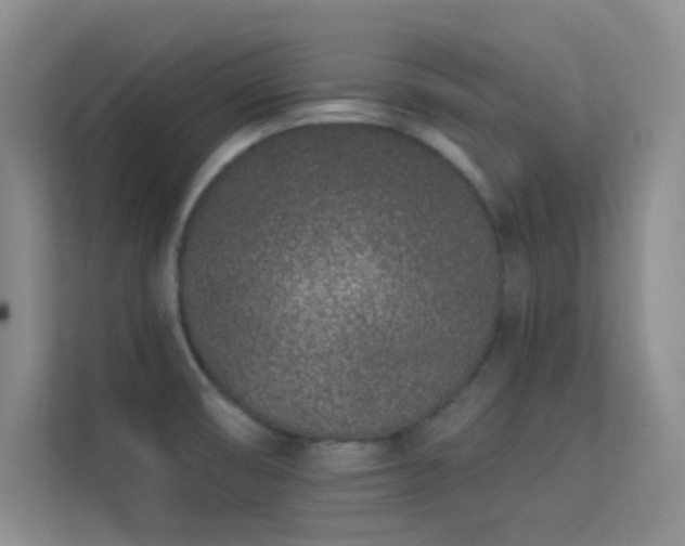 X0000113631474200909251210