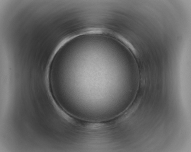 X0000113631475200909251210