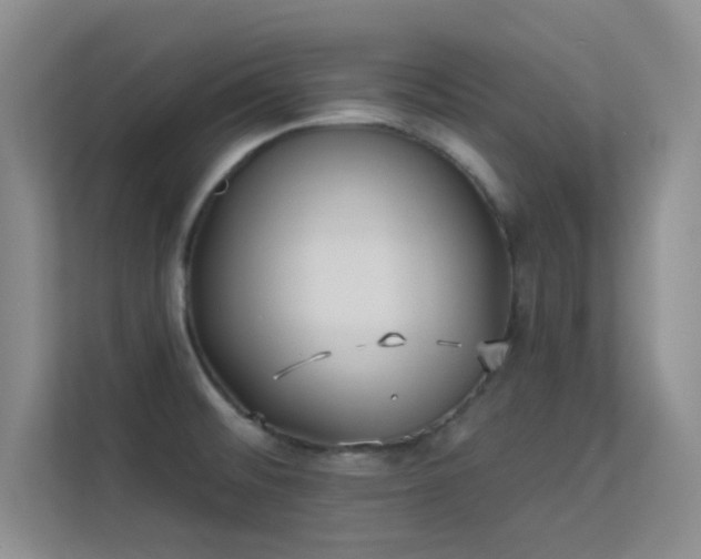 X0000113631476200909251210