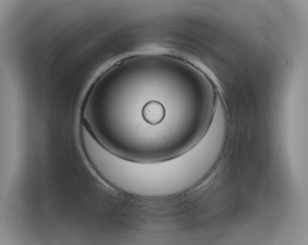 X0000113631477200909251210
