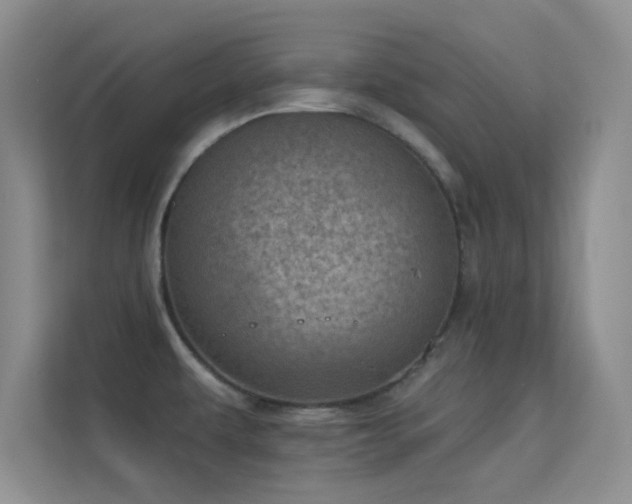 X0000113631479200909251210