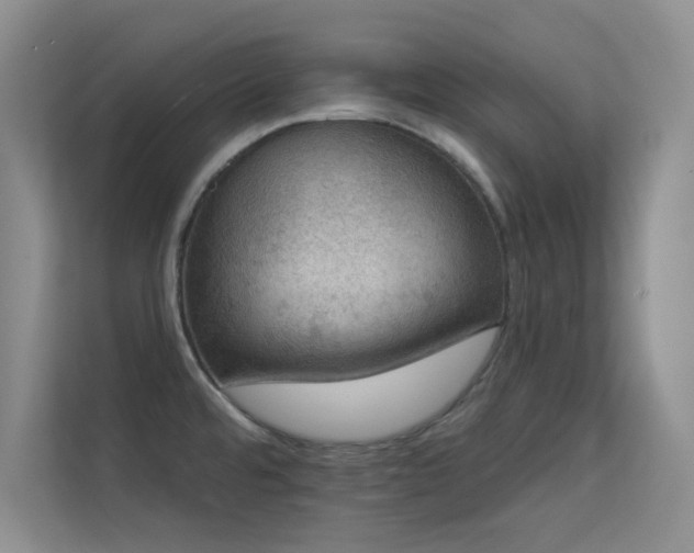 X0000113631480200909251210