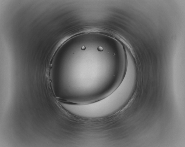 X0000113631481200909251210