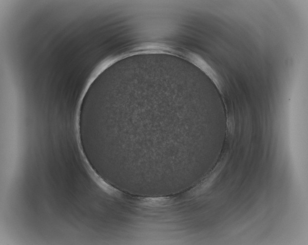 X0000113631482200909251210