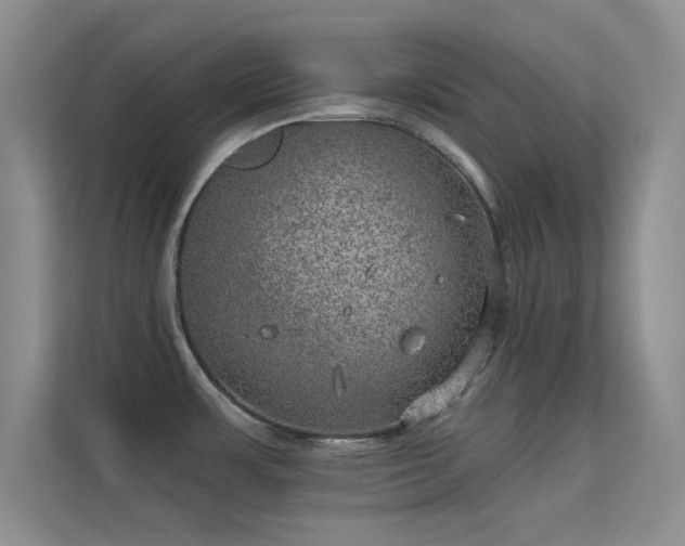 X0000113631483200909251210