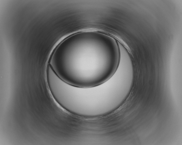 X0000113631484200909251210
