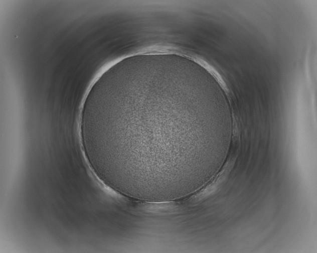 X0000113631486200909251210