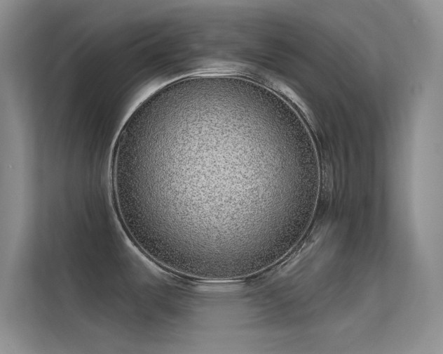 X0000113631487200909251210