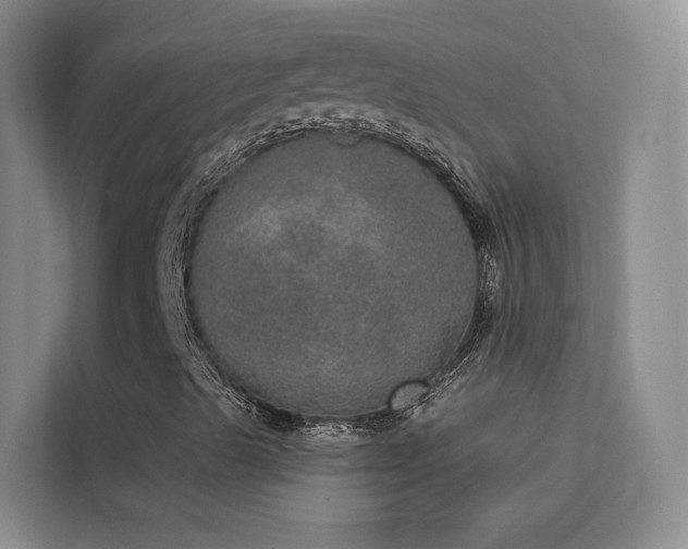 X0000113631489200909251210