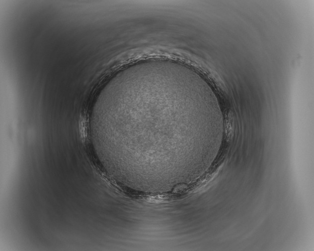 X0000113631490200909251210