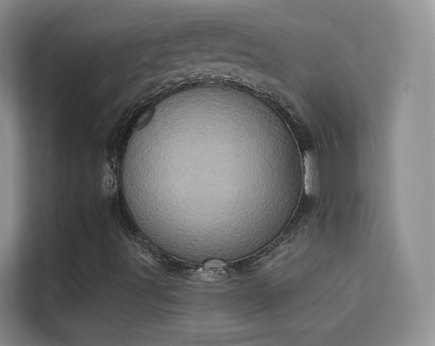 X0000113631491200909251210