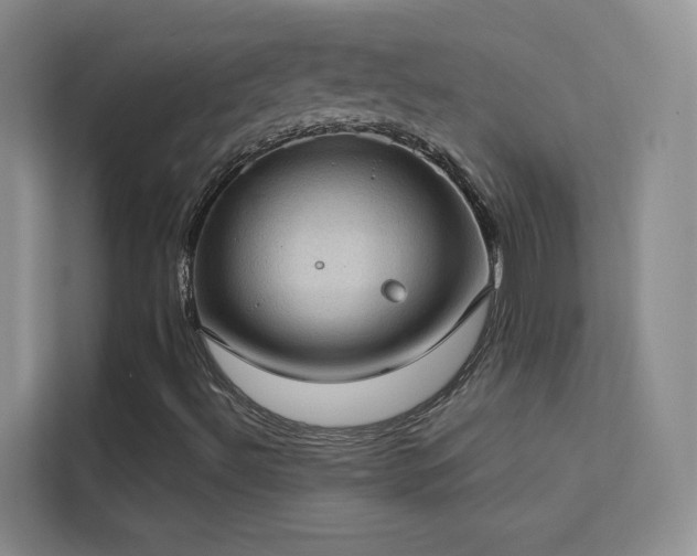X0000113631492200909251210