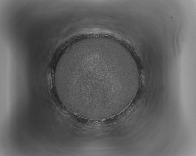 X0000113631493200909251210