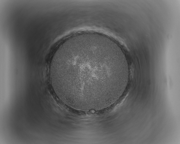 X0000113631494200909251210