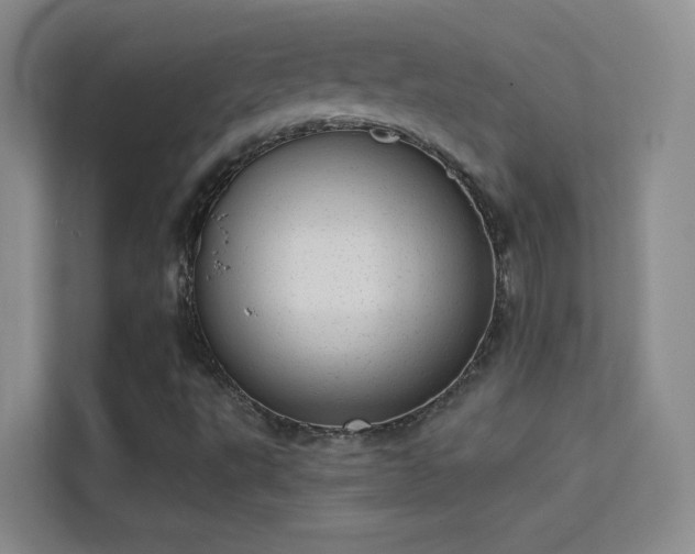 X0000113631495200909251210