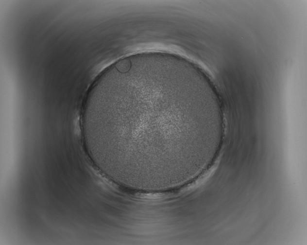 X0000113631497200909251210