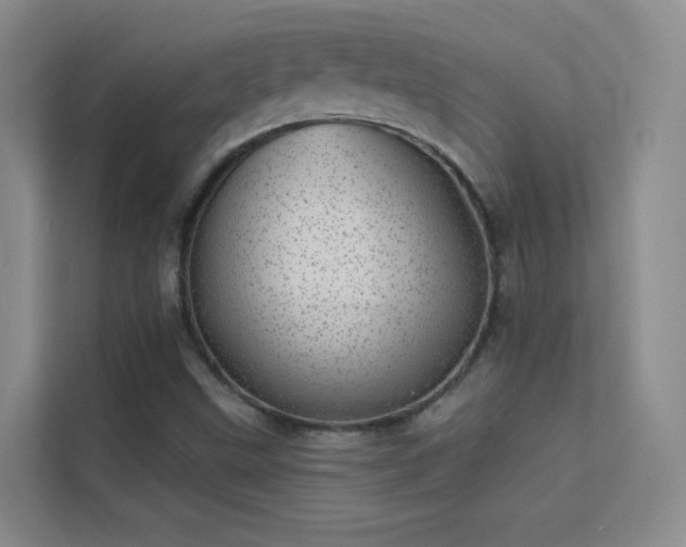 X0000113631499200909251210