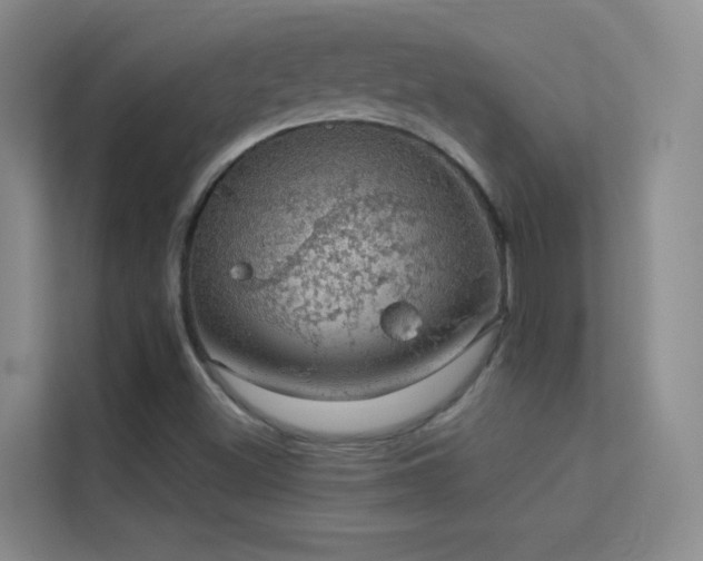 X0000113631500200909251210