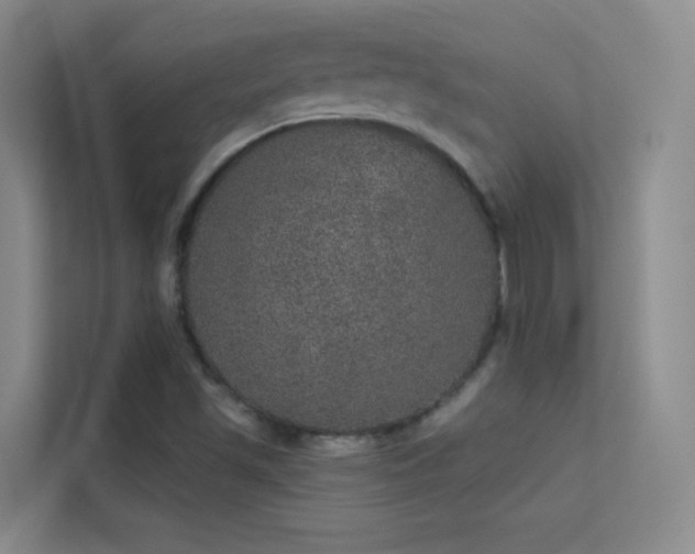 X0000113631501200909251210