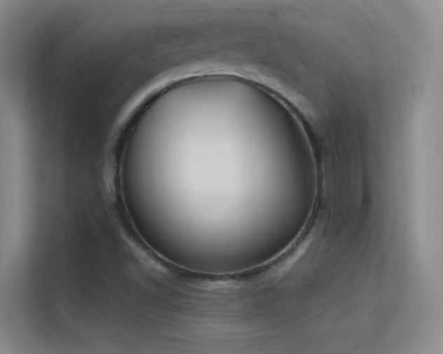 X0000113631502200909251210