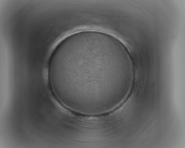X0000113631503200909251210