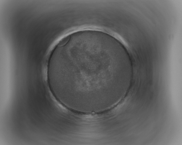 X0000113631504200909251210