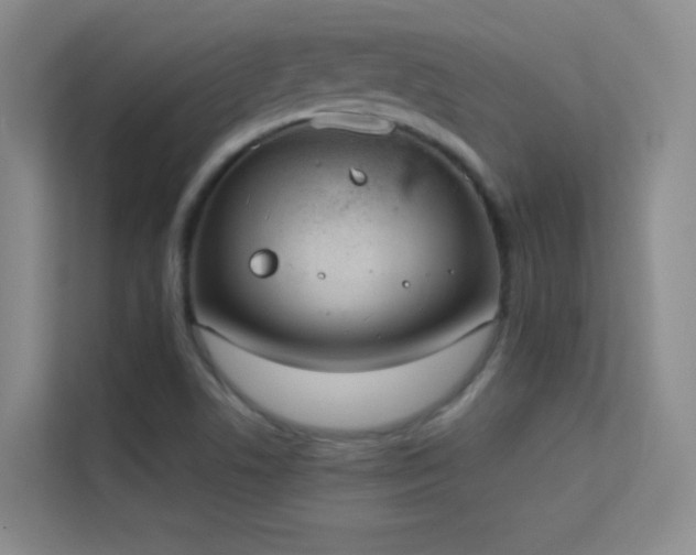 X0000113631506200909251210