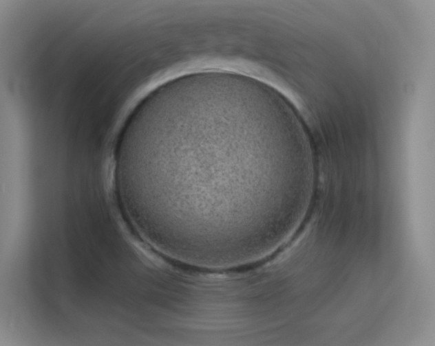 X0000113631507200909251210