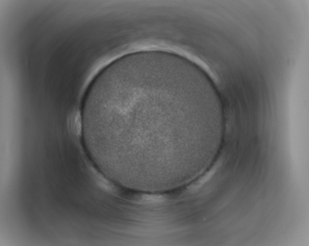 X0000113631509200909251210