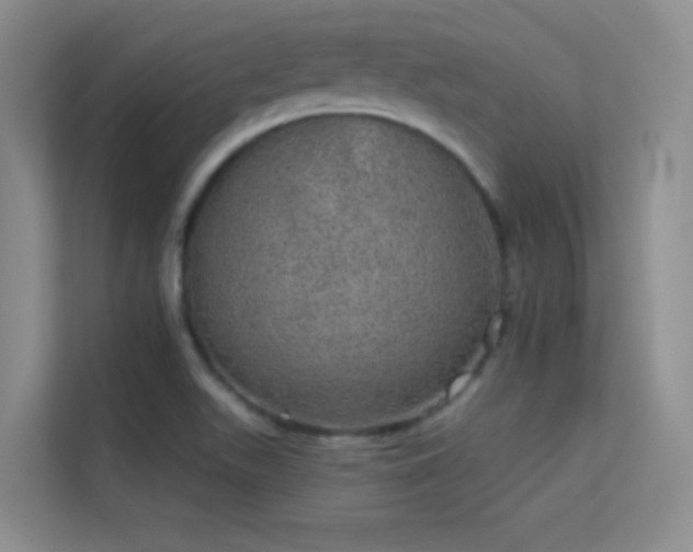 X0000113631511200909251210