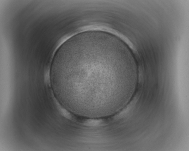 X0000113631513200909251210