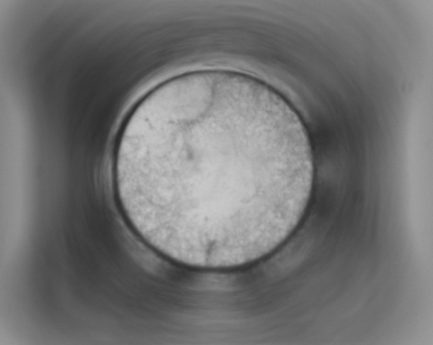 X0000113631514200909251210